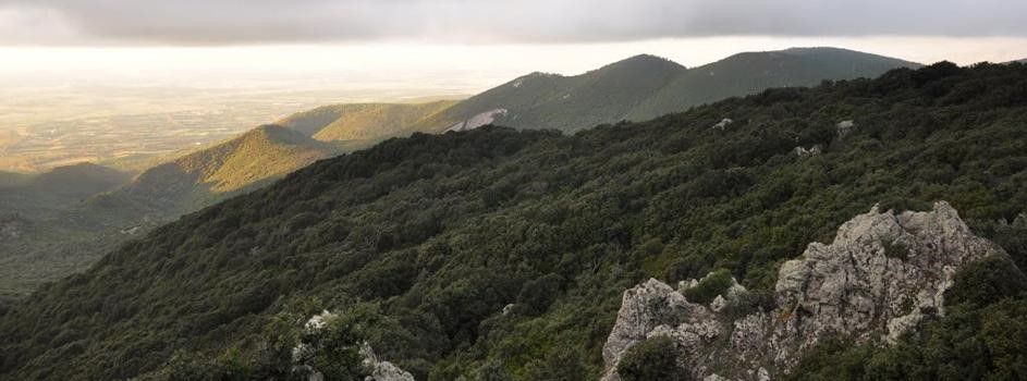 Parco Naturale Regionale del Monte Arci