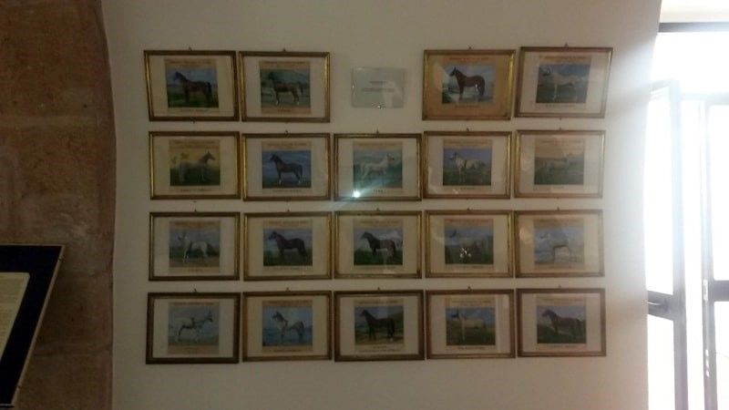 Museo del Cavallo - Ozieri