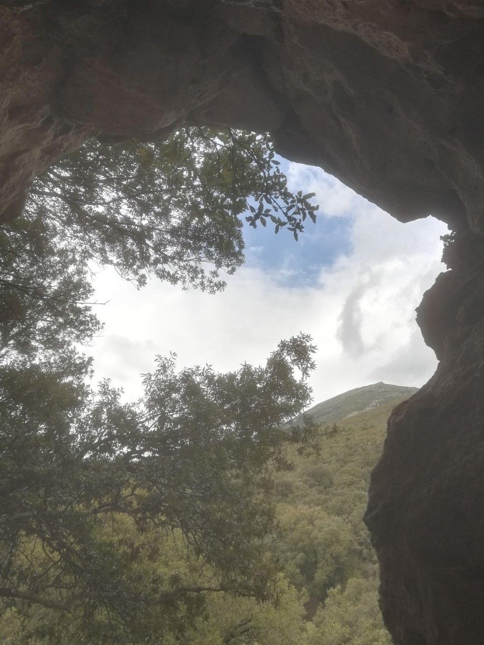 Foresta di Girgini - Desulo