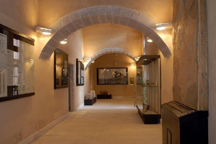 Civico Museo Archeologico di Ozieri “Alle Clarisse”