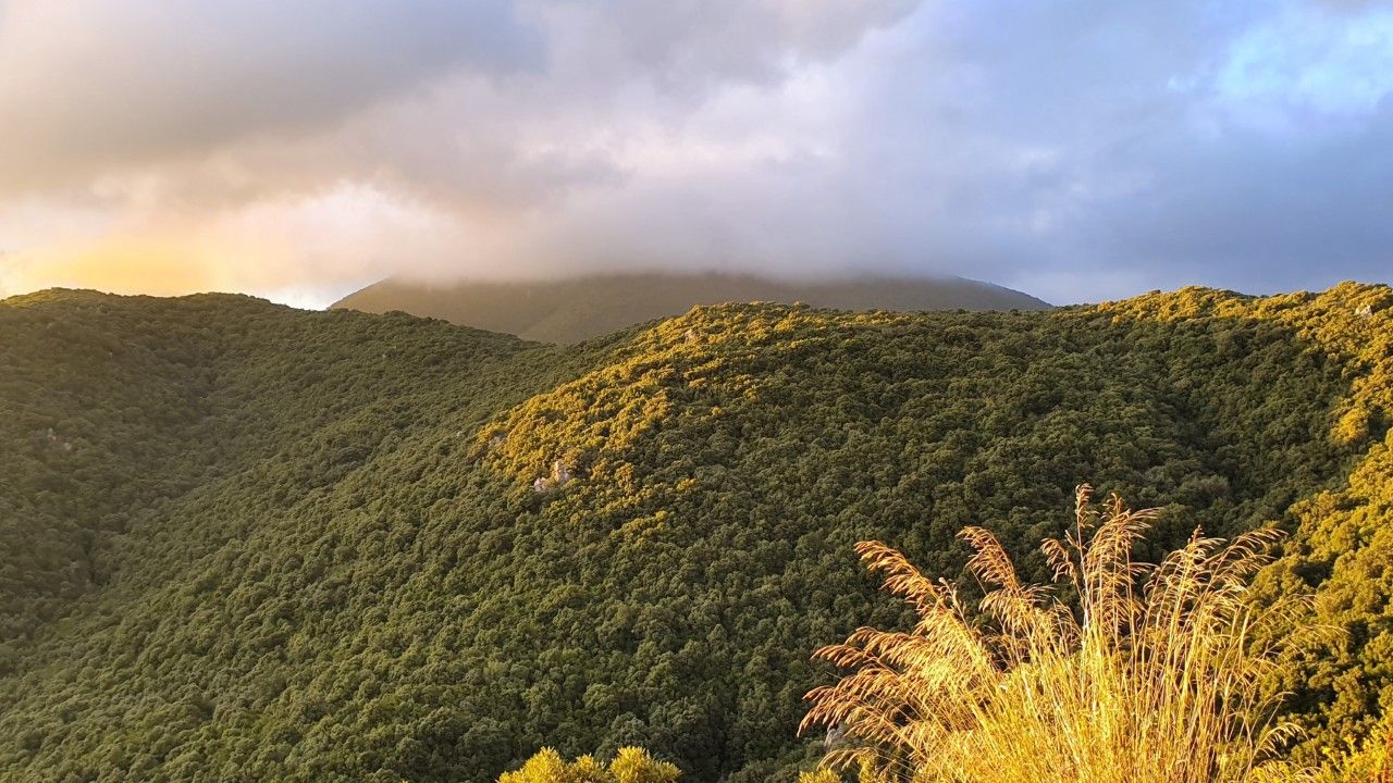 Parco Naturale Regionale di Gutturu Mannu (foto dal sito ufficiale del parco)