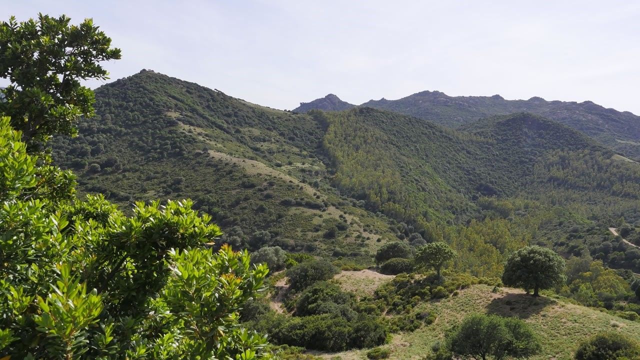 Parco Naturale Regionale di Gutturu Mannu (foto dal sito ufficiale del parco)